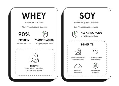 Whey Vs Soy Protein Powder The Difference Soylent Canada