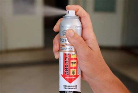 Дихлофос от клопов: помогает ли, инструкция по применению