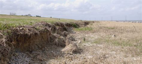 Hydroturf® Proves Successful In Shoreline Erosion Protection
