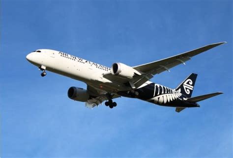 Peeling Paint This Time Its Boeings 787 Mentour Pilot