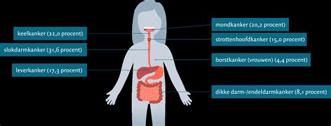 Verhoogt Alcohol De Kans Op Kanker Biowetenschappen And Maatschappij