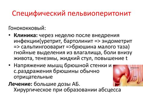 Перитонит. Анатомия Брюшины - презентация онлайн