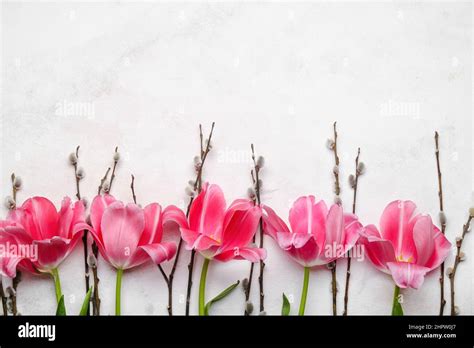 Pussy Willow Branches And Tulip Flowers On Light Background Stock Photo Alamy