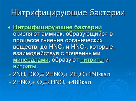 Хемосинтез - презентация онлайн