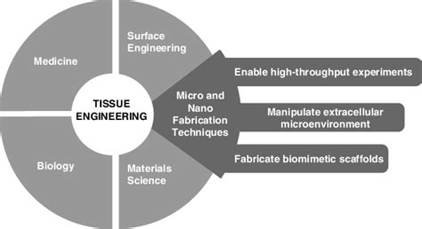 1 Schematic Representation Of The Different Areas Of Expertise Involved