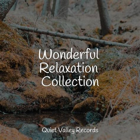 Play Wonderful Relaxation Collection By Sonido Del Bosque Y Naturaleza