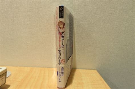 Cover for I'm living in the hard mode of a girl's game