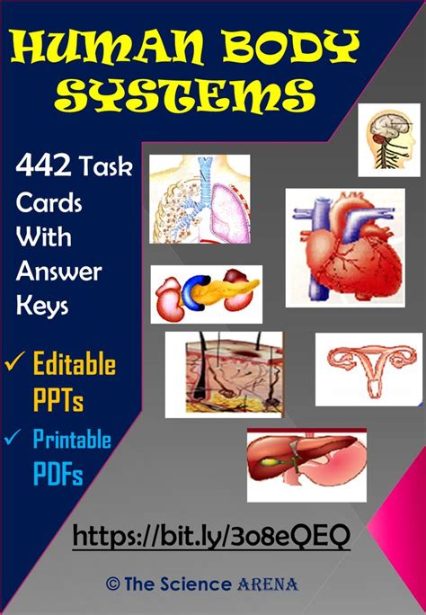 Human Body Systems Task Cards Mega Editable Bundle Eoy Task Cards