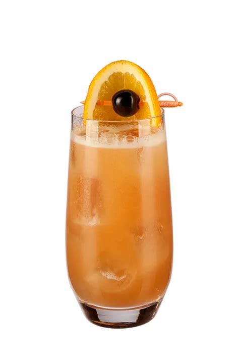 Fruity Sex On The Beach Cocktail Recipe