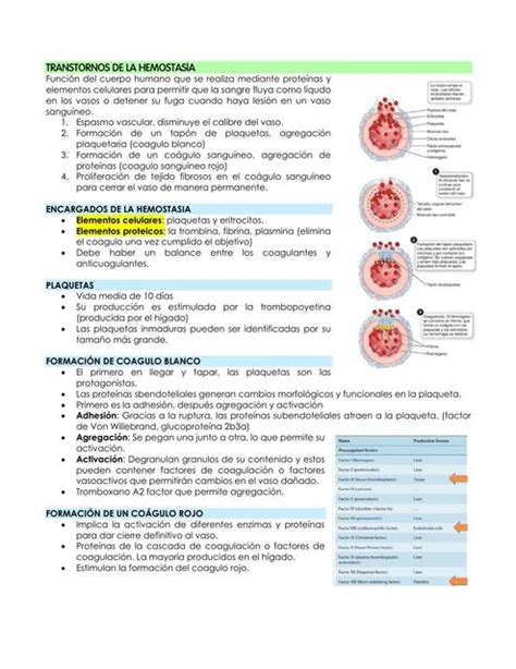 Trastornos De La Hemostasia Vane S Nchez Udocz