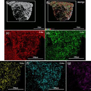 (a) SEM image and (b-g) EDS elemental distribution mapping of ...
