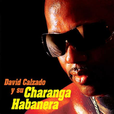 David Calzado Y Su Charanga Habanera Albums Songs Playlists Listen