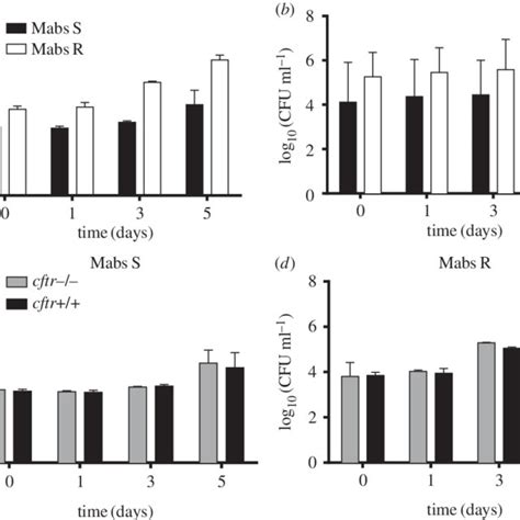 Ultrastructural Differences Of The M Abscessus S Or R Containing