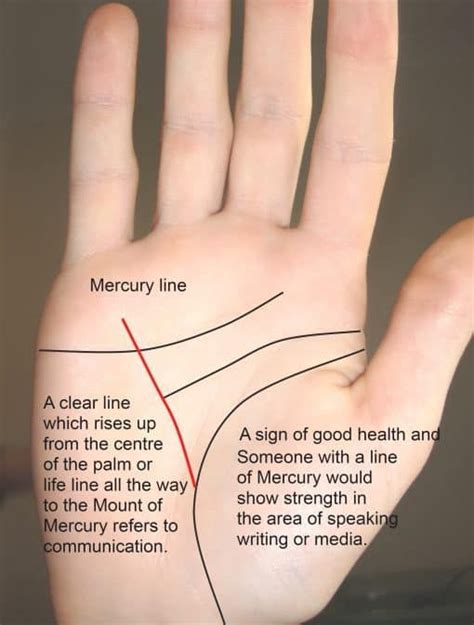 Mercury Line Health Meanings In Palmistry Destiny Palmistry