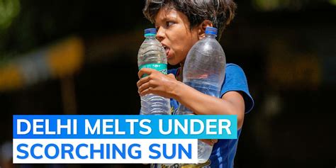 Delhi heat: 46.2 degrees Celsius recorded in some parts of city | Editorji
