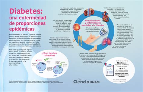 La Diabetes Y Sus Secuelas Ciencia Unam