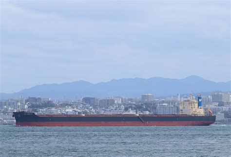 Nsu Newstar Vessels Lover ばら積み船