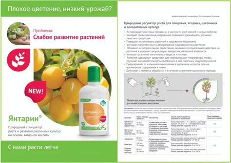 Янтарная кислота - энергия солнца для ваших растений!: информационные ...