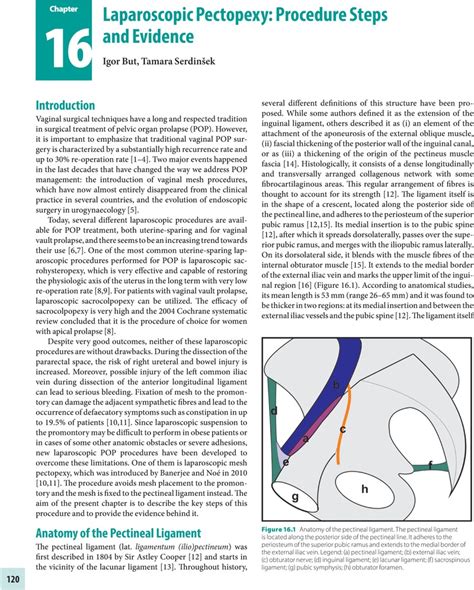 Laparoscopic Pectopexy Procedure Steps And Evidence Chapter 16