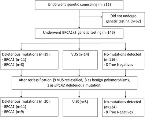 Deleterious BRCA1/2 mutations in an urban population of Black women ...