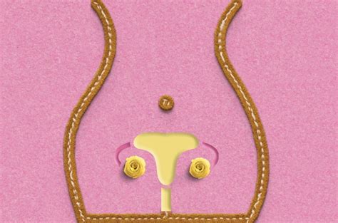 What Happens To Your Vagina As You Age News