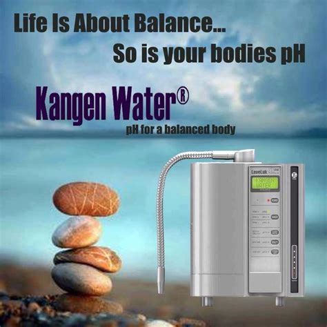 The SD501P Is Enagic S Flagship Water Ionizer Machine With The Highest