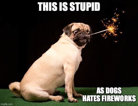 Pug With Sparks Imgflip