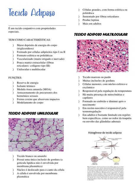 Funções e Tipos de Tecido Adiposo | PDF | Tecido adiposo | Medicina Clínica