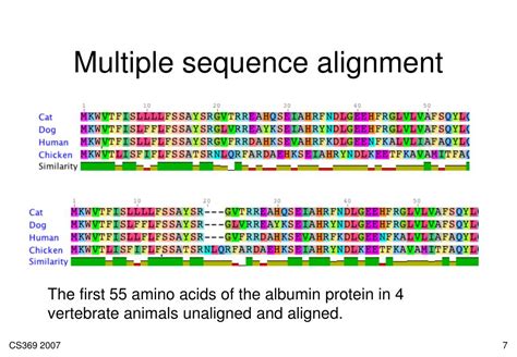 Ppt Multiple Sequence Alignment Powerpoint Presentation Free Download Id1707291