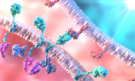 The Curative Potential Of Car T Cell Therapy Drug Discovery World Ddw