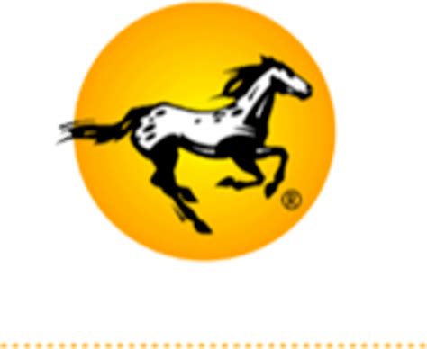 Appaloosa Interactive Games Developed Or Published