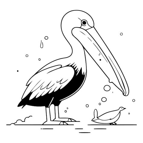 Premium Vector Pelican And Bird Vector Illustration In Doodle Style