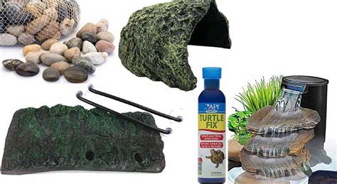 5 Must-Have Items for Your Turtle – TurtleOwner.com