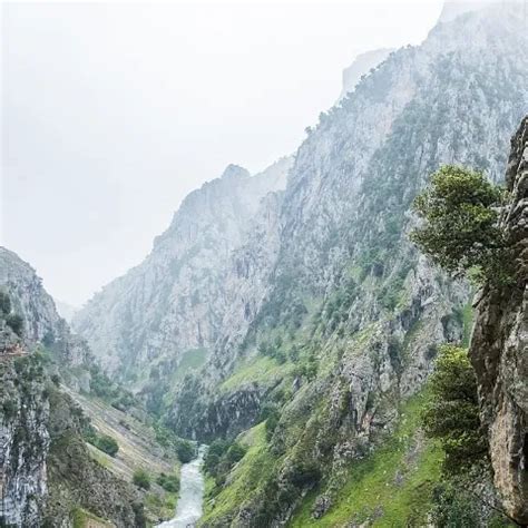 Gaping Whores Anal Anal Porn XHamster