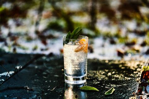 11 Premium Gin Brands: Best Choices For Connoisseurs