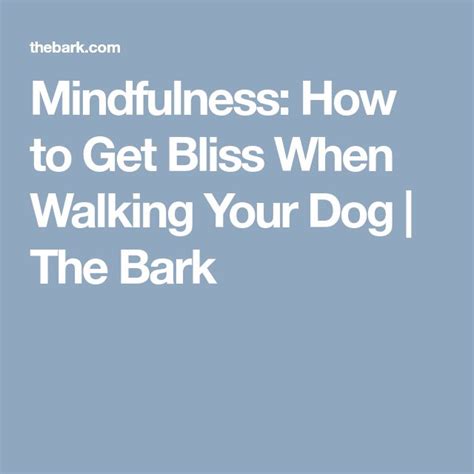 Mindfulness How To Take Your Dog On A Blissful Nature Walk