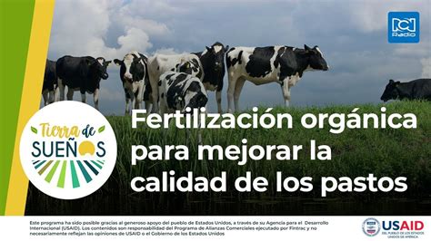 Fertilización Orgánica Para Mejorar La Calidad De Los Pastos Youtube