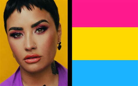 Demi Lovato Cambia A Género No Binario Y Se Declara Pansexual Duplos Cl