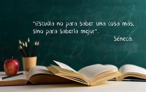 Frases Sobre La Educaci N