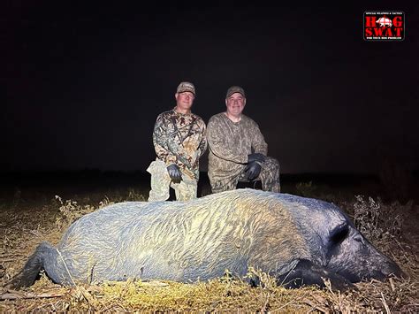 Hunting Wild Hogs Hog S W A T Guided Night Hog Hunt Southwest