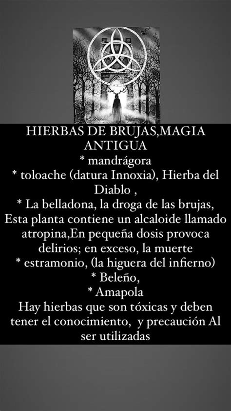 Hierbas De Bruja Magia Antigua Echizos Y Conjuros Hechizos Y Conjuros Libros De Magia Negra