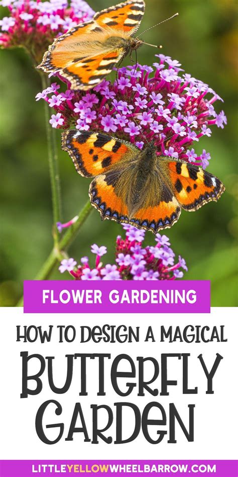 Backyard Butterfly Garden Artofit