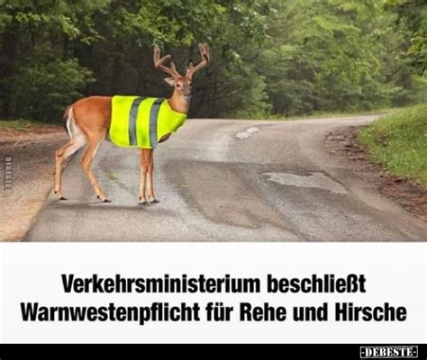 Verkehrsministerium beschließt Warnwestenpflicht für Rehe und Hirsche