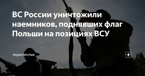 ВС России уничтожили наемников, поднявших флаг Польши на позициях ВСУ ...