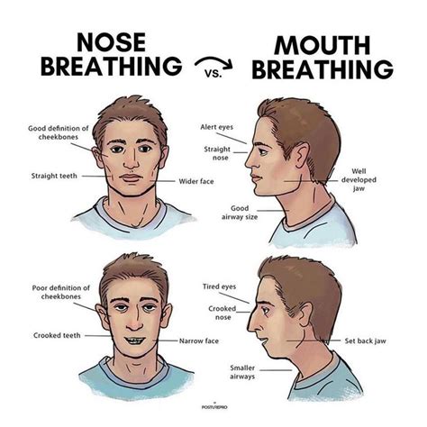 NOSE VS MOUTH BREATHING Tired Eyes Nose Straight Teeth