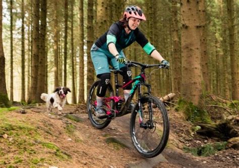 top   mountain bike brands wonderslist