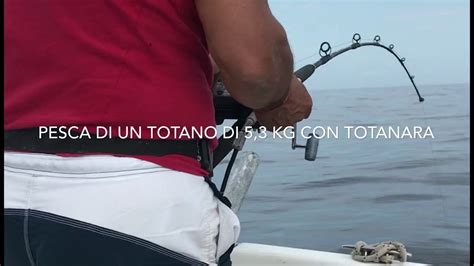 Pesca Totano Di Kg Youtube