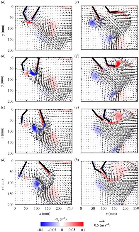 Velocity Vector Fields Overlaid On Out Of Plane Z Vorticity Z