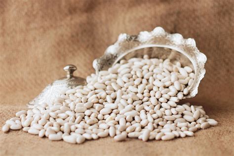Fasulye – Bayeks Agro – Gıda – Mersin