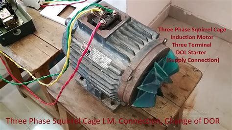 3 Phase Squirrel Cage Induction Motor Diagram 3 Phase Squirr